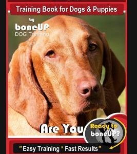 Vizsla Training Book for Dogs & Puppies By BoneUP DOG Training: Are You Ready to Bone Up? Easy Training * Fast Results Vizsla Training Book