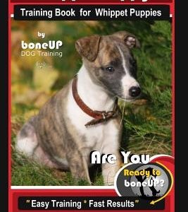 Whippet Puppy Training Book for Whippet Puppies By BoneUP DOG Training: Are You Ready to Bone Up? Easy Training * Fast Results Whippet Puppy