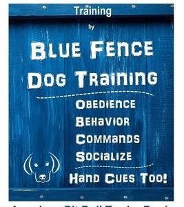 American Pit Bull Terrier Training, By Blue Fence DOG Training, Obedience, Behavior, Commands, Socialize, Hand Cues Too, American Pit Bull Terrier Boo