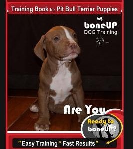 American Pit Bull Terrier Puppy Training Book for Pit Bull Terrier Puppies By BoneUP DOG Training: Are You Ready to Bone Up? Easy Training * Fast Resu