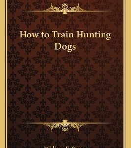 How to Train Hunting Dogs
