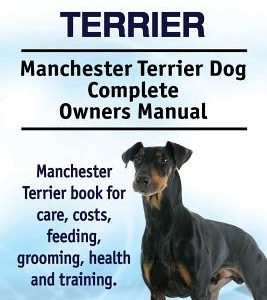 Manchester Terrier. Manchester Terrier Dog Complete Owners Manual. Manchester Terrier book for care, costs, feeding, grooming, health and training.