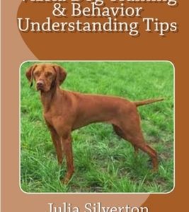 Vizsla Dog Training & Behavior Understanding Tips
