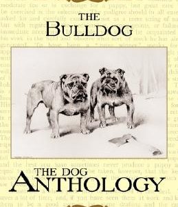The Bulldog - A Dog Anthology (a Vintage Dog Books Breed Classic)