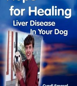 Hope for Healing Liver Disease in Your Dog