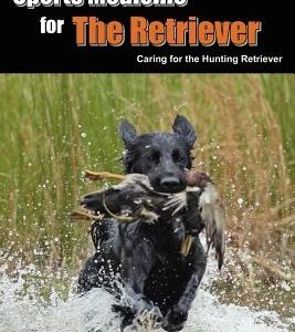 Sports Medicine for the Retriever: Caring for the Hunting Retriever