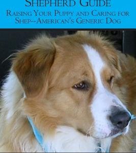 The Complete English Shepherd Guide: Raising Your Puppy and Caring for Shep--American's Generic Dog