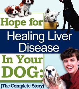 Hope For Healing Liver Disease In Your Dog: The Complete Story