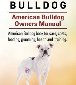 American Bulldog. American Bulldog Dog Complete Owners Manual. American Bulldog book for care, costs, feeding, grooming, health and training.