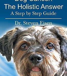 Dog Cancer: The Holistic Answer: A Step by Step Guide