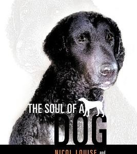 The Soul of a Dog