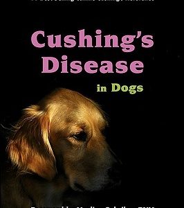 Cushing's Disease in Dogs