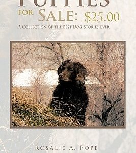 Puppies for Sale: $25.00 a Collection of the Best Dog Stories Ever