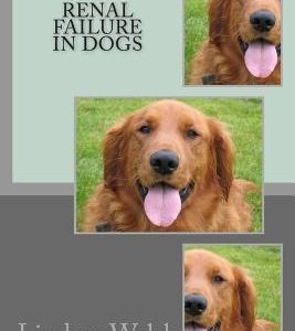 Renal Failure in Dogs