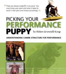 Picking your Performance Puppy