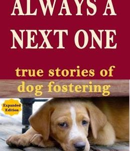 Always a Next One: True Stories of Dog Fostering