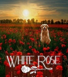 White Rose: Stories of Love, Loss and a Dog Named Holly