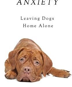 Separation Anxiety: Leaving Dogs Home Alone