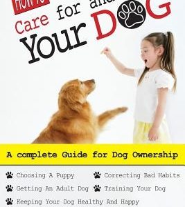 How To Care For And Train Your Dog
