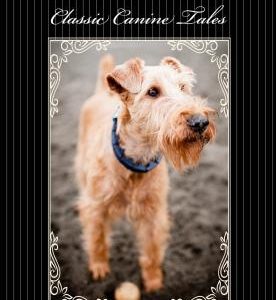 Tails to Wag: Classic Canine Stories