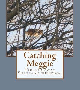 Catching Meggie the Runaway Shetland Sheepdog
