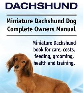 Miniature Dachshund. Miniature Dachshund Dog Complete Owners Manual. Miniature Dachshund book for care, costs, feeding, grooming, health and training.