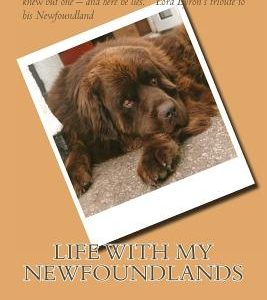 Life with my Newfoundlands