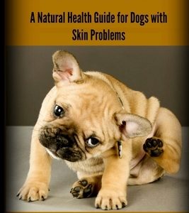 Itchy Dogs - A Natural Health Guide for Dogs with Skin Problems