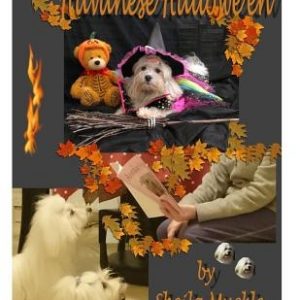 Havanese Hallowe'en