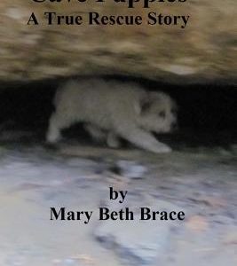 Cave Puppies: A True Rescue Story