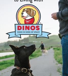 The Official Guide To Living With DINOS