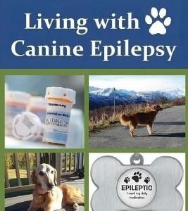 Living with Canine Epilepsy