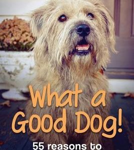What a Good Dog!: 55 reasons to adopt a rescue dog