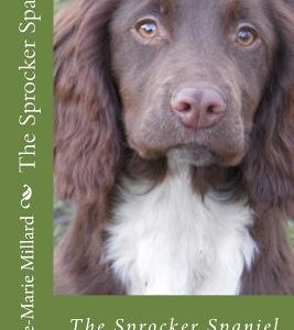 The Sprocker Spaniel - extended edition: Everything you need to know from pup to dog