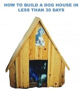 Dog House Plan: How To Build A Dog House In Less Than 30 Days