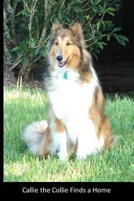 Callie the Collie finds a home: A true story with a happy ending about a puppy who wanted to find a home and someone to love her