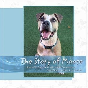 The Story Of Moose: How A Big Dog On A Little Island Found Love After Nearly 5 Years In A Shelter