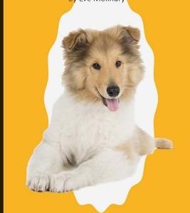 Callie the Collie Finds a Home