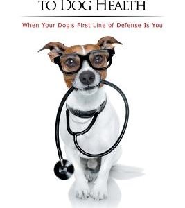 A Holistic Approach to Dog Health: When Your Dog's First Line of Defense Is You
