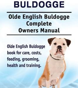 Olde English Bulldogge. Olde English Buldogge Dog Complete Owners Manual. Olde English Bulldogge book for care, costs, feeding, grooming, health and t