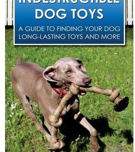 Indestructible Dog Toys: A Guide to Finding Your Dog Long-Lasting Toys and More