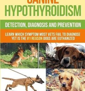 Canine Hypothyroidism: Detection, Diagnosis And Prevention