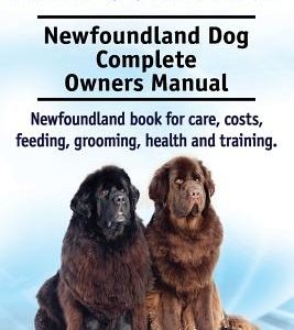Newfoundland. Newfoundland Dog Complete Owners Manual. Newfoundland book for care, costs, feeding, grooming, health and training.