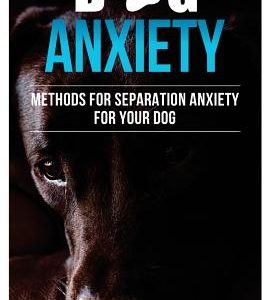 Dog Anxiety?: Methods For Separation Anxiety For Your Dog!