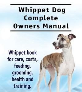Whippet. Whippet Dog Complete Owners Manual. Whippet book for care, costs, feeding, grooming, health and training.