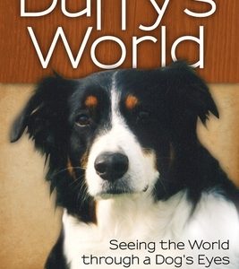 Duffy's World: Seeing the World Through a Dog's Eyes