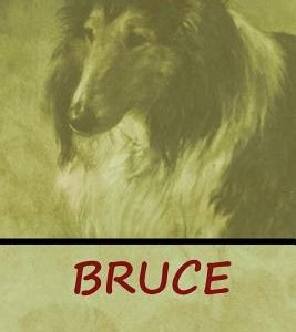 Bruce