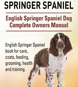 English Springer Spaniel. English Springer Spaniel Dog Complete Owners Manual. English Springer Spaniel book for care, costs, feeding, grooming, healt