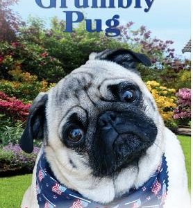The Grumbly Pug: Life & Love with Zoe