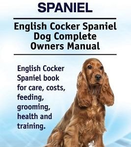 English Cocker Spaniel. English Cocker Spaniel Dog Complete Owners Manual. English Cocker Spaniel book for care, costs, feeding, grooming, health and